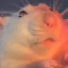 ratJam emote