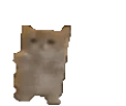 wahoo emote