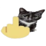 catfinger emote