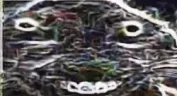 xddxing emote