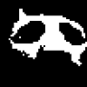 SCHIZO emote