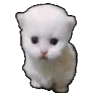 ewpertDown emote