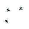 FliesTime emote