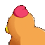 chicken_sus