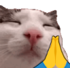 plinkPrayge emote