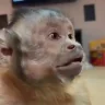 SamyEating emote