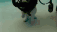 Subnauticat