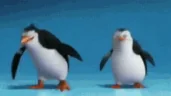 PinguinosPls emote
