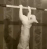 PullUp emote