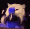 PepsiShakey emote