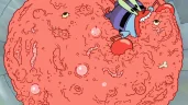 THEMEATS emote