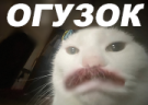 OGUZOK emote