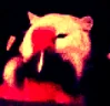 HyperCokeShakey emote