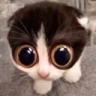 MONKAS emote