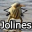 Jolines