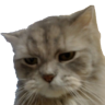 OCSad emote