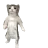 catGroove emote