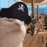 PirateJam emote