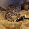 watching emote