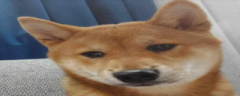 aha28 emote