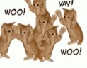 CELEBRATE emote