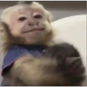 MonoJeje emote