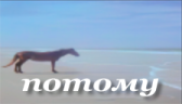 potomu emote