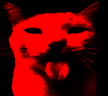 Bleh emote