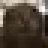 bh emote