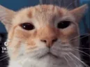 yuh emote