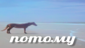 potomu emote