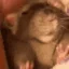 RatTired