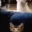 Emote