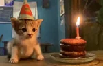 Birthday emote