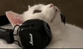 Lissen emote