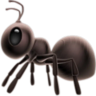 ant emote