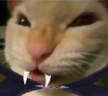 nyehehehe emote