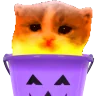 Scared emote