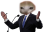 BidenCat