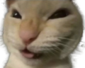 Reprazent emote
