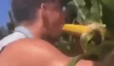 me emote