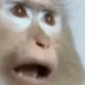 SHOCK emote