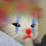 catclown emote