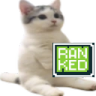 catsittingverycomfortablywaitingforranked emote