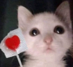 parati emote