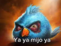 Yayamijoya emote