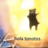 holatonotos emote