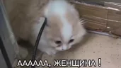Woman emote