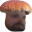 forsenShroom