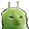 glorpNoZaza emote